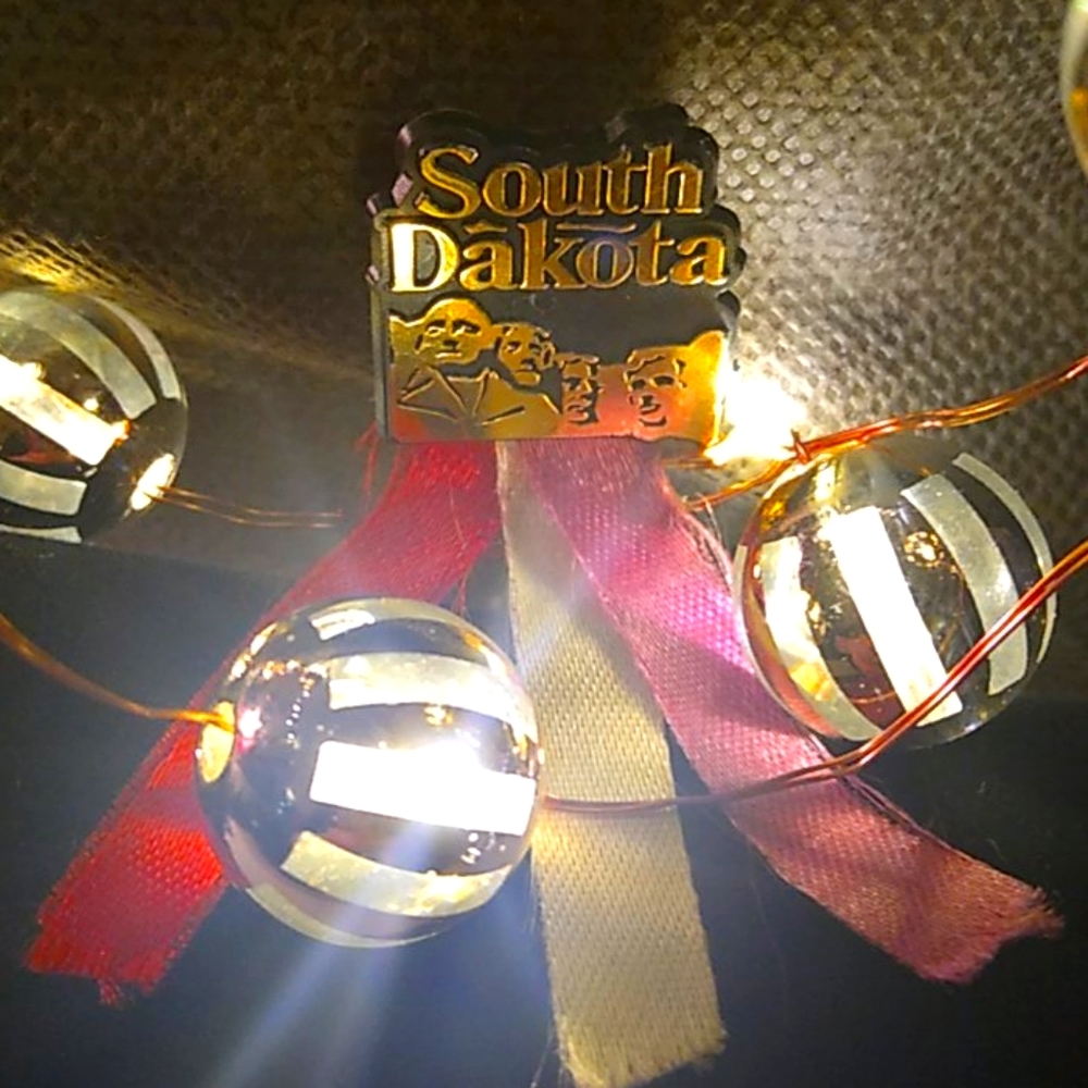 RARE Vintage My Rushmore South Dakota Souvenir PIN